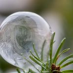 ~ frozen bubble ~