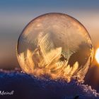 Frozen Bubble 