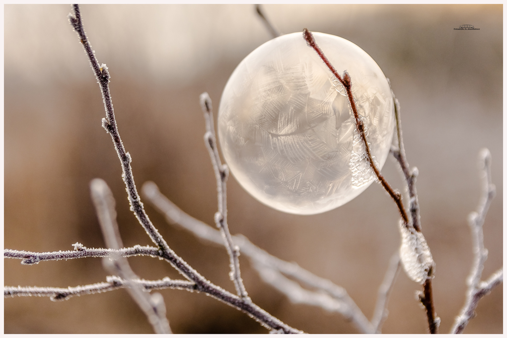 Frozen Bubble