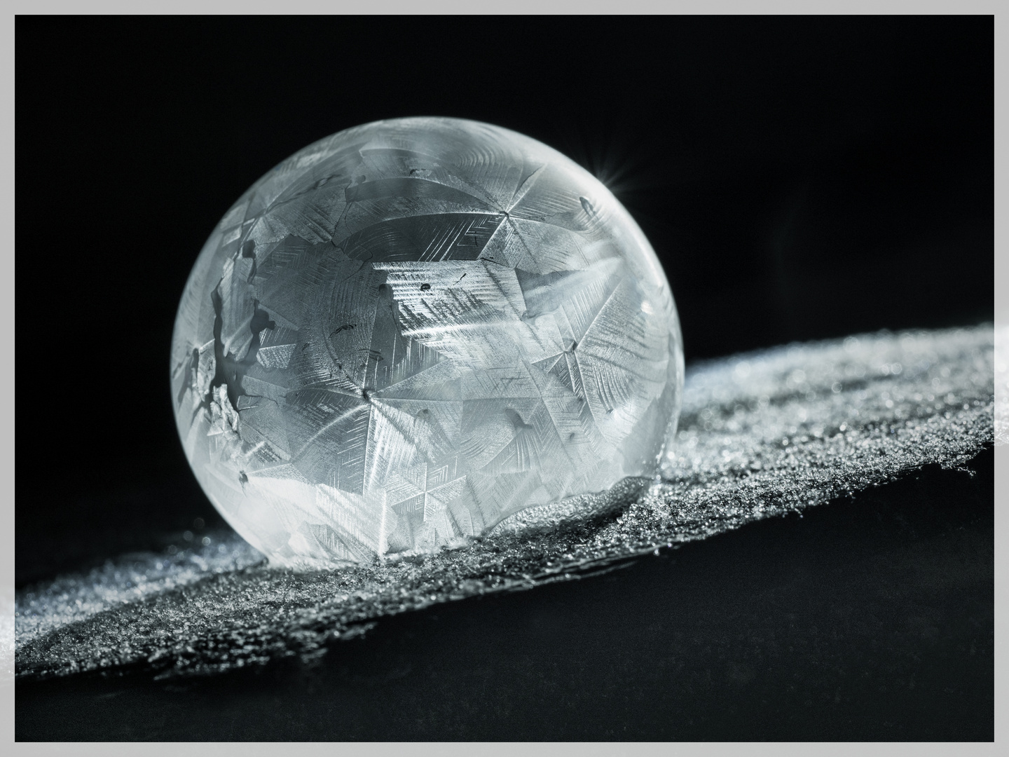 frozen bubble