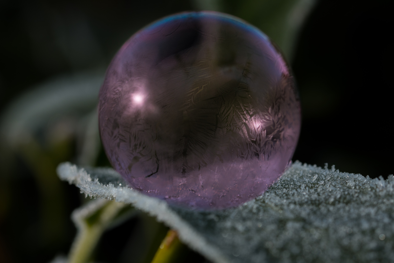 Frozen bubble color