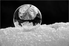 * Frozen Bubble *