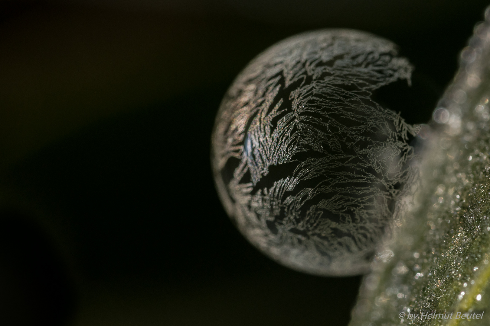 Frozen bubble - hängend