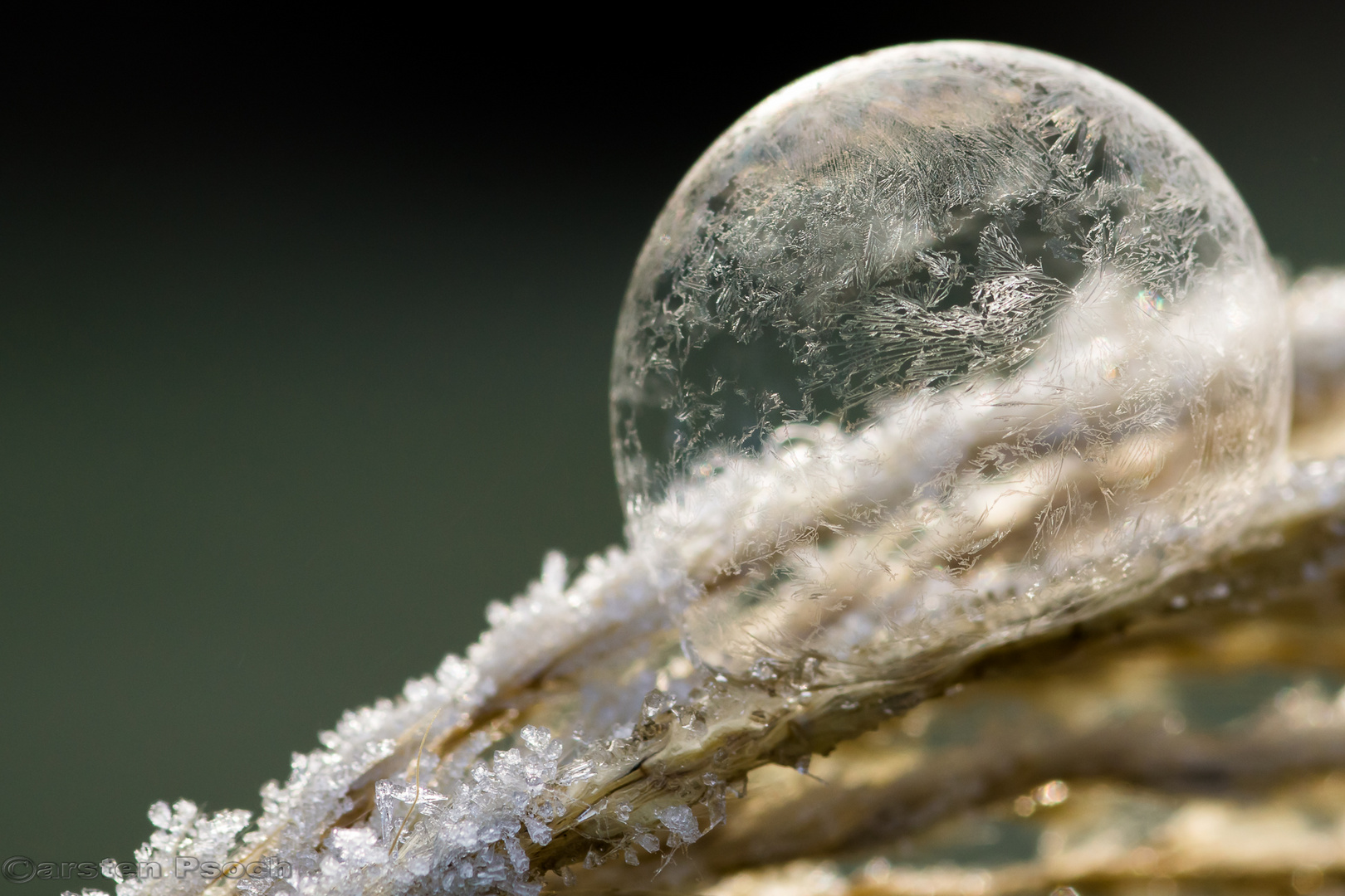 Frozen Bubble II