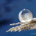 Frozen Bubble III