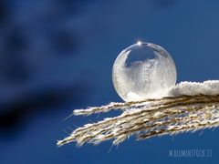 Frozen Bubble III