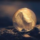 Frozen Bubble im letzten Sonnenlicht