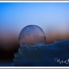 Frozen bubble in snow