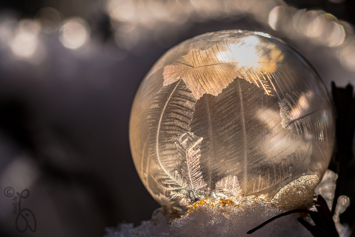 frozen bubbles