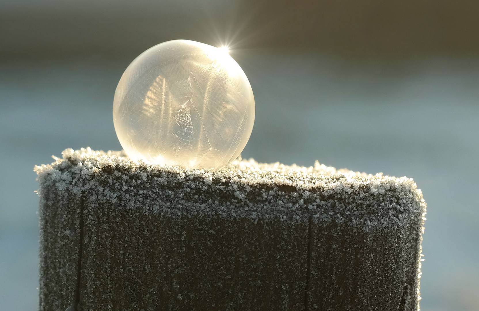 frozen bubbles