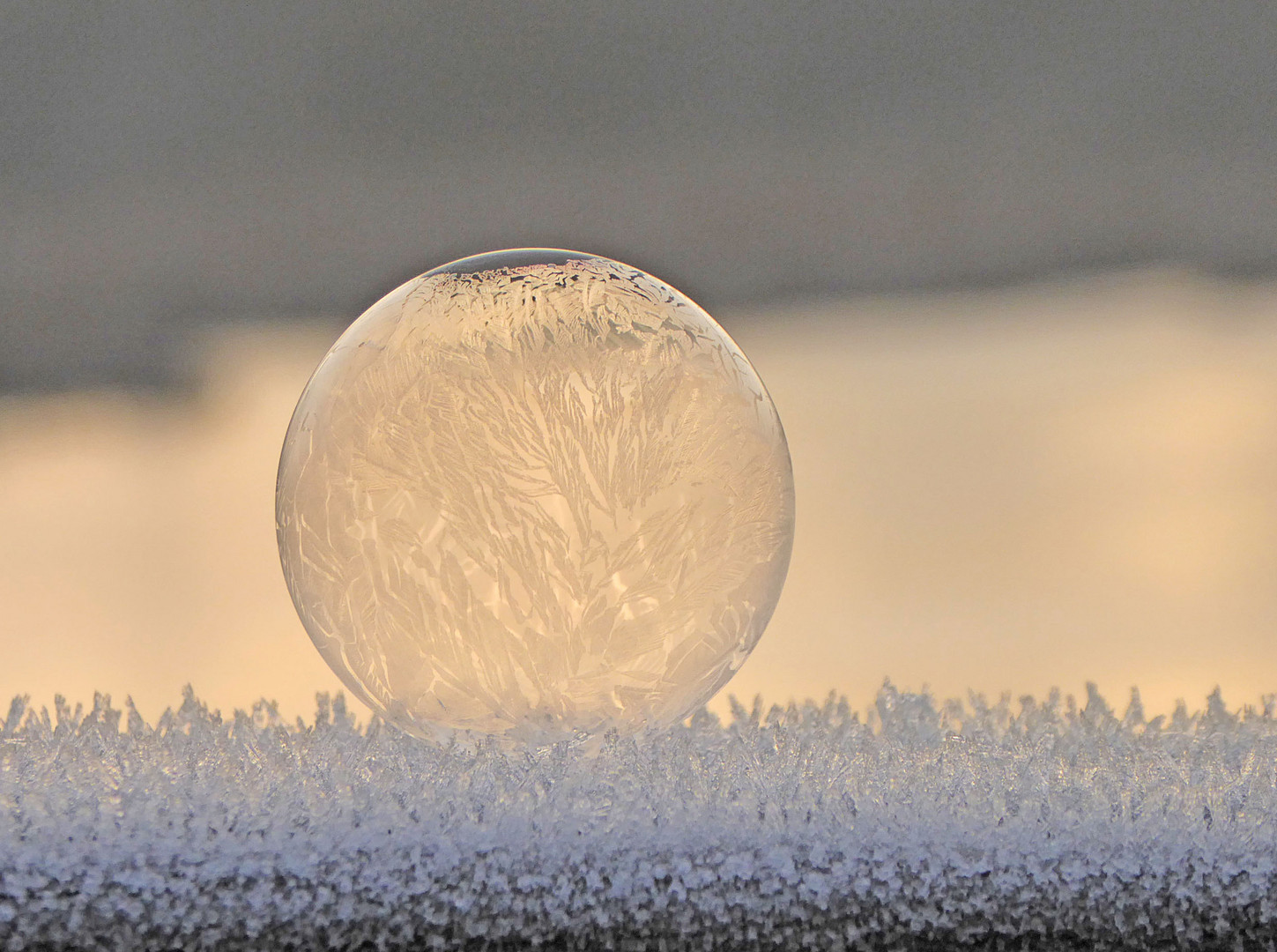 Frozen Bubbles 2