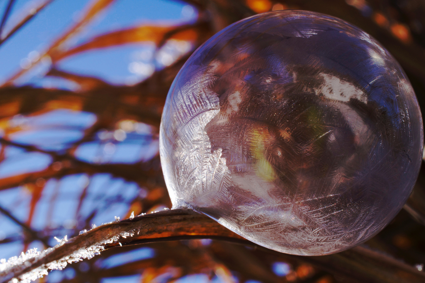 Frozen Bubbles