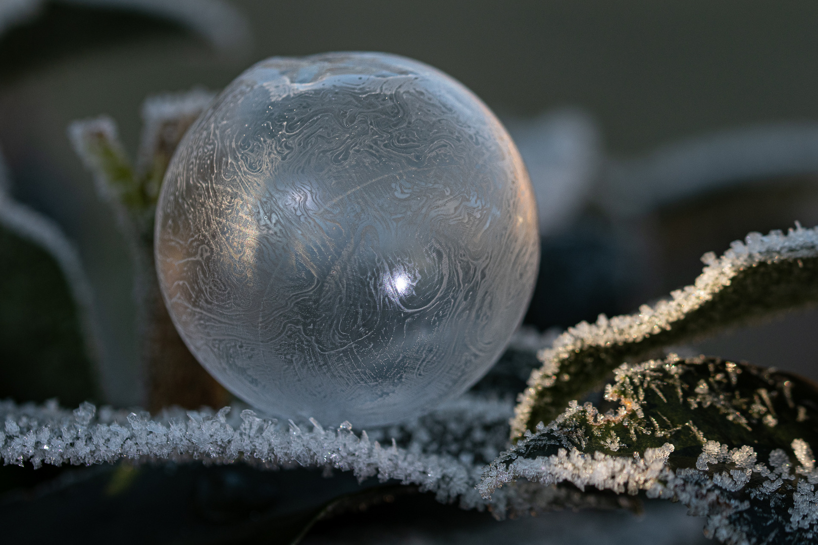 Frozen bubbles