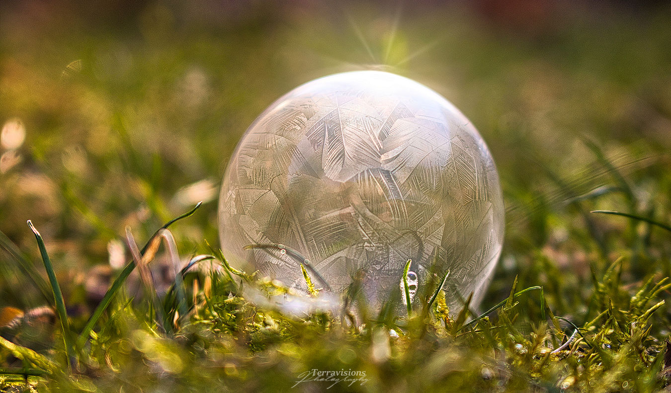 Frozen bubbles