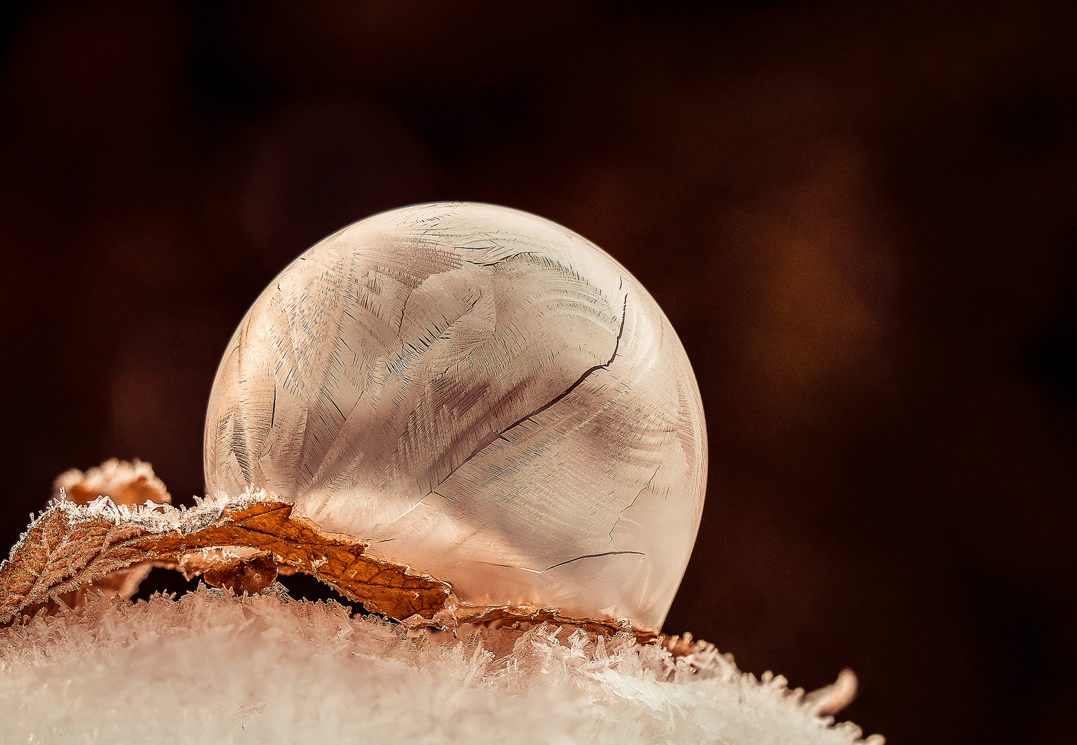 Frozen Bubbles