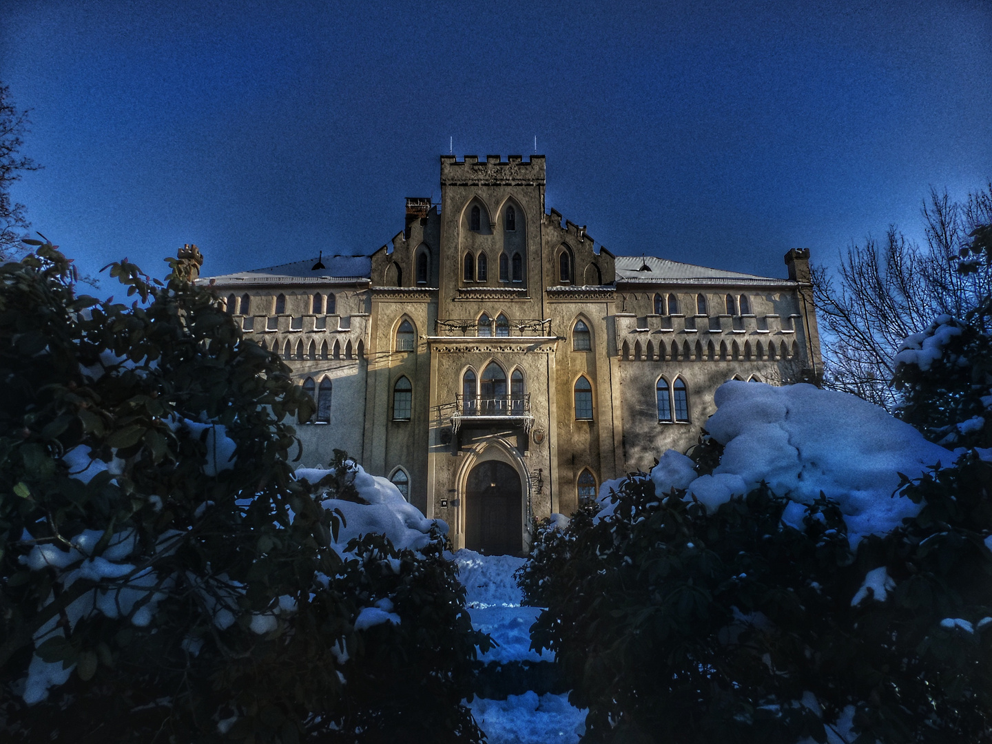 Frozen castle 