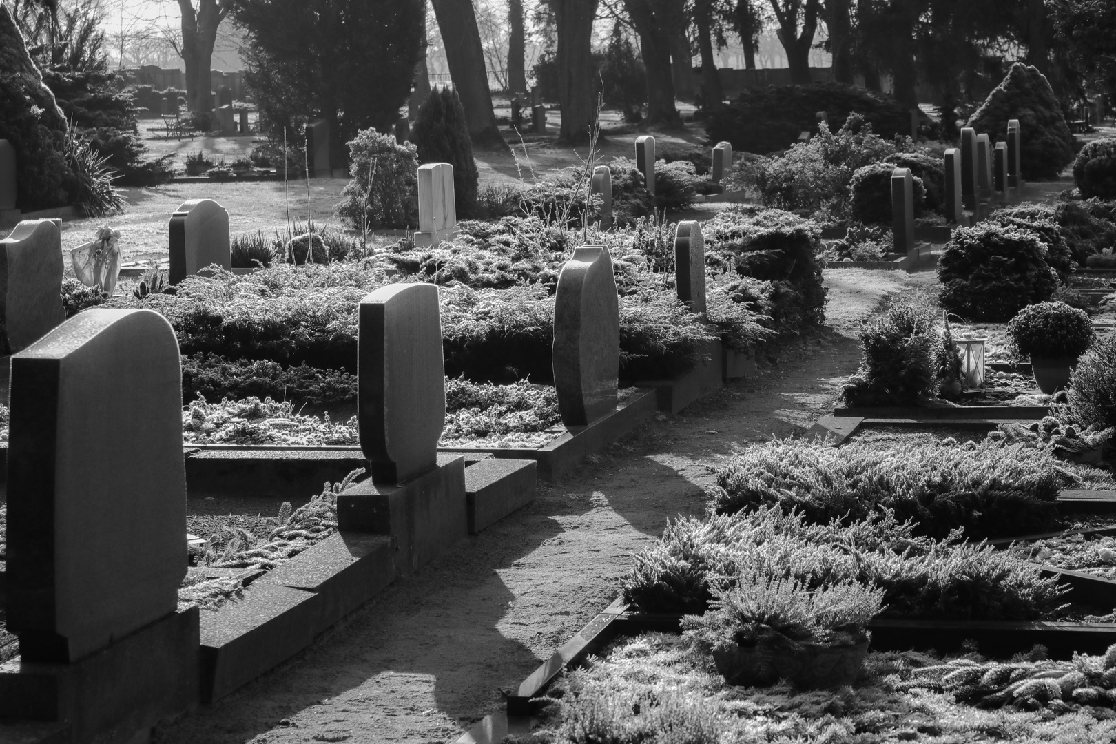 Frozen Cemetery