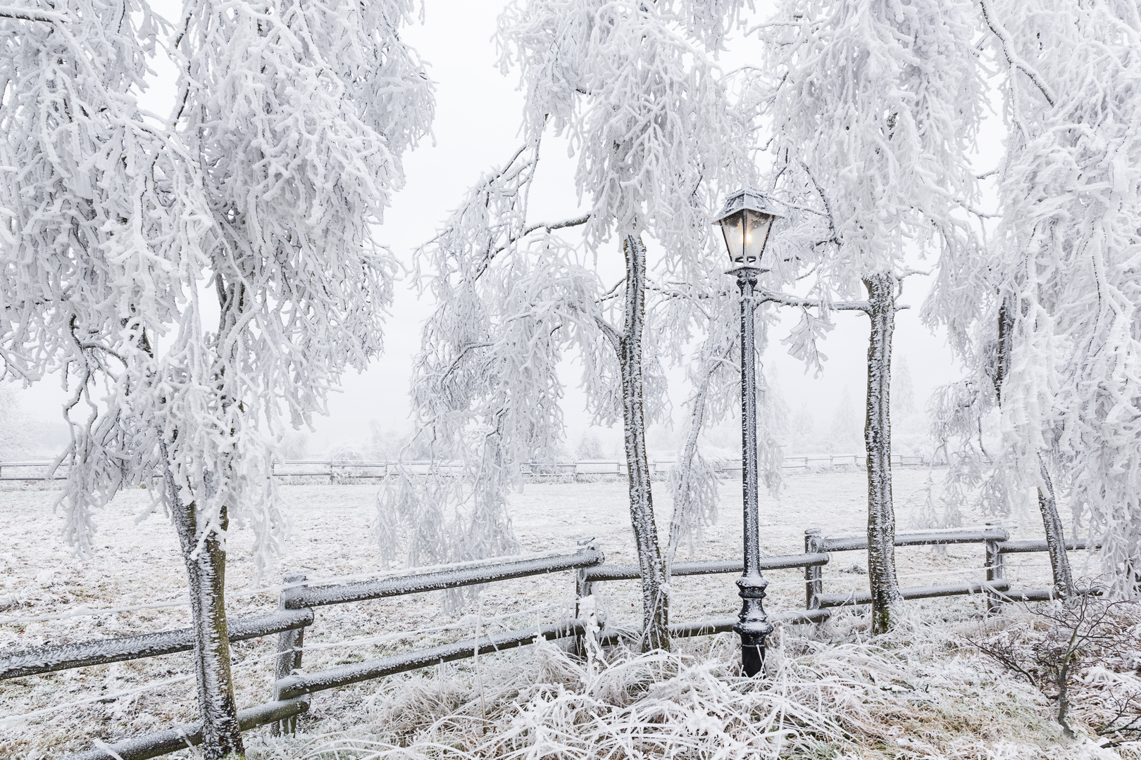 Frozen christmas lantern