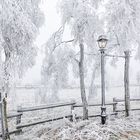 Frozen christmas lantern