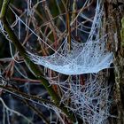 Frozen cobweb