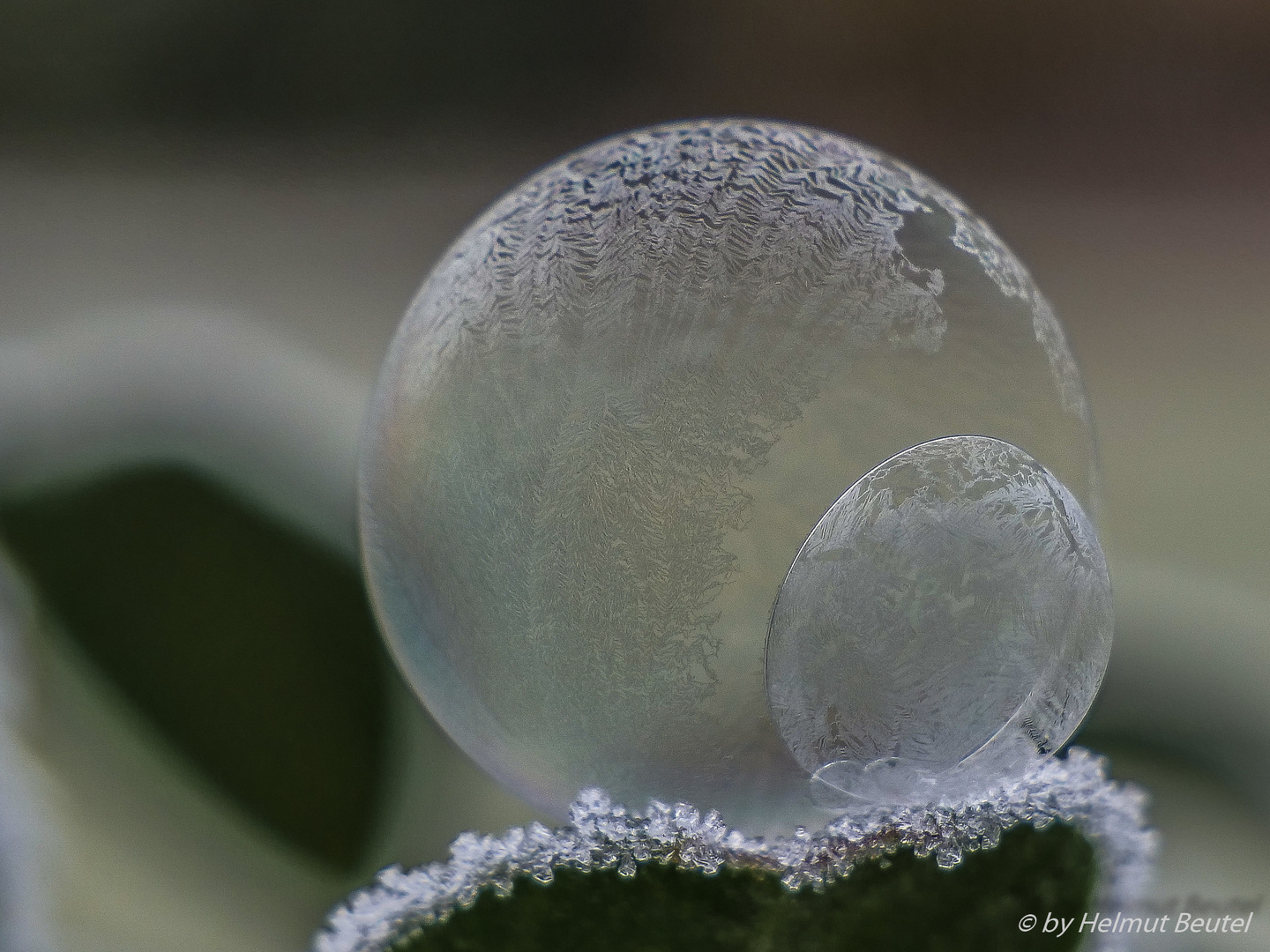 Frozen doublebubble