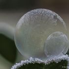 Frozen doublebubble