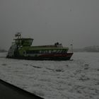 Frozen Elbe