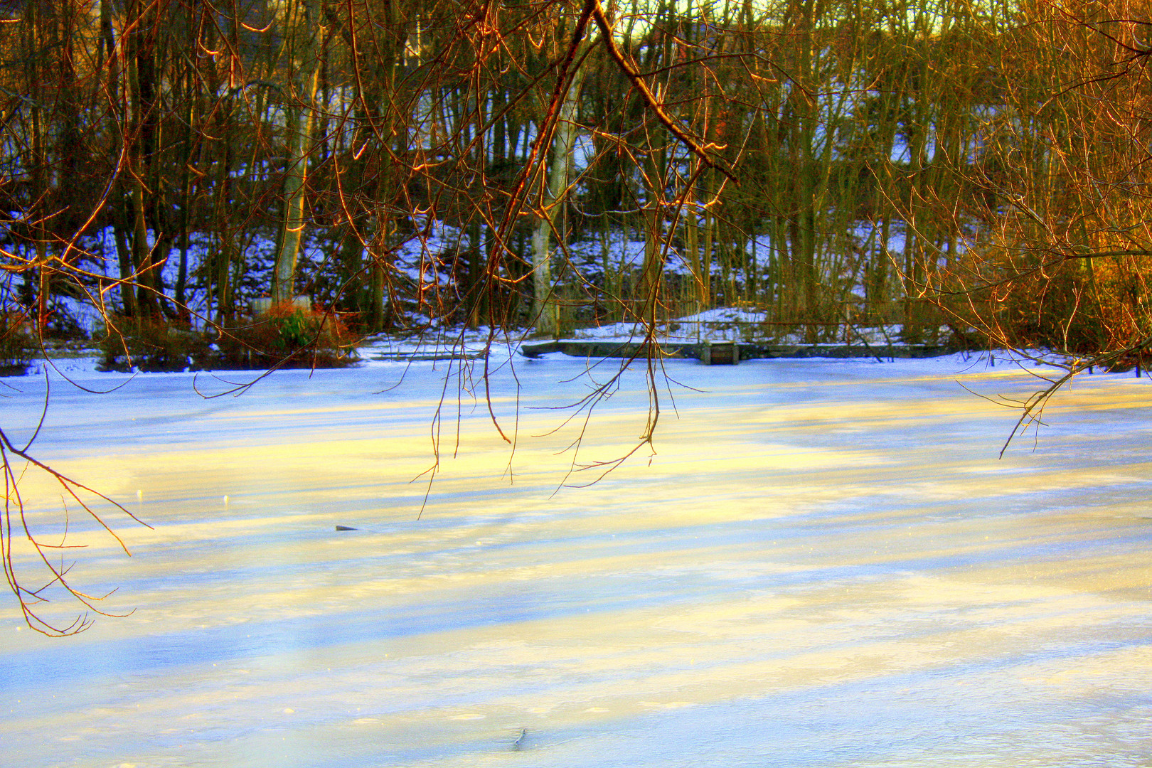 Frozen Entenweiher