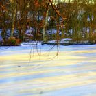 Frozen Entenweiher