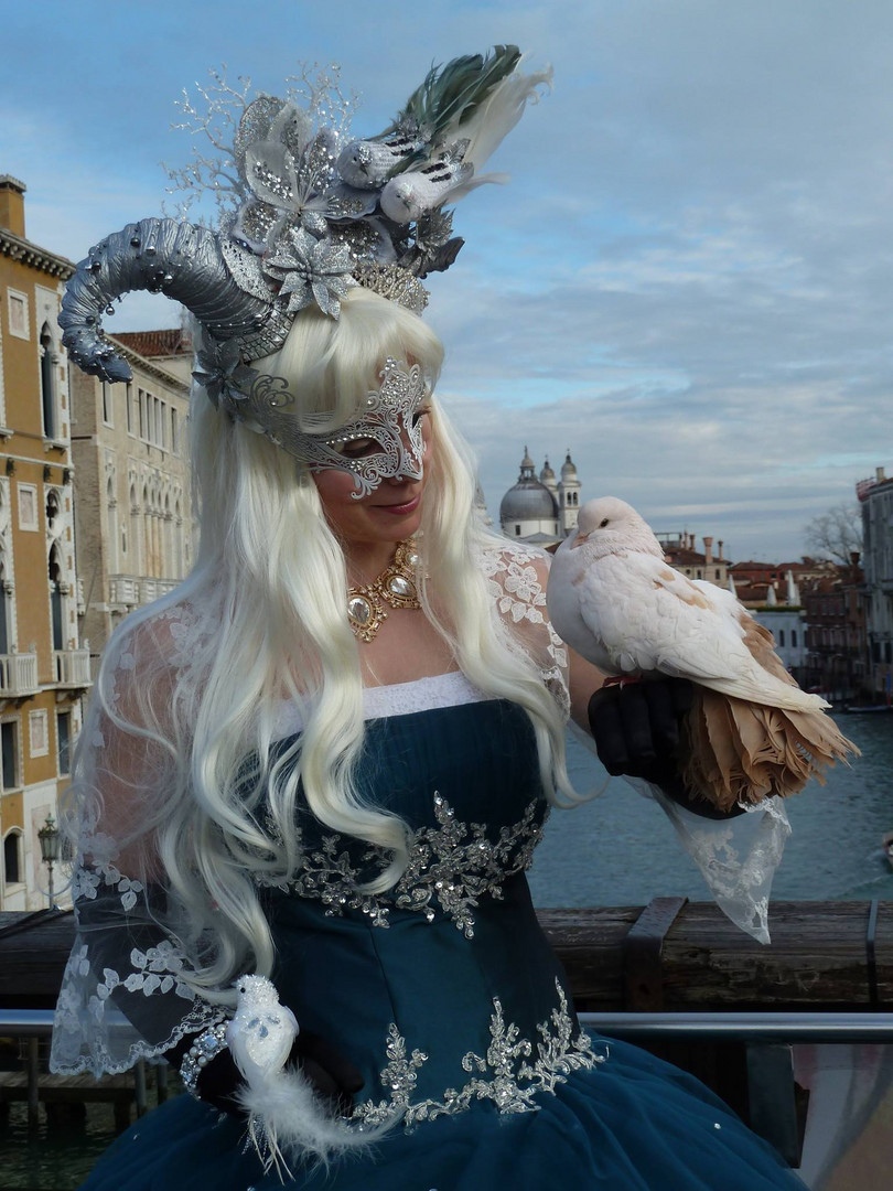 Frozen Fairy Venice