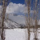 Frozen farm