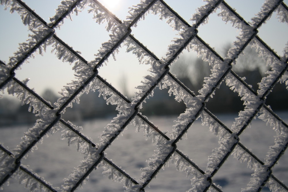 frozen fense