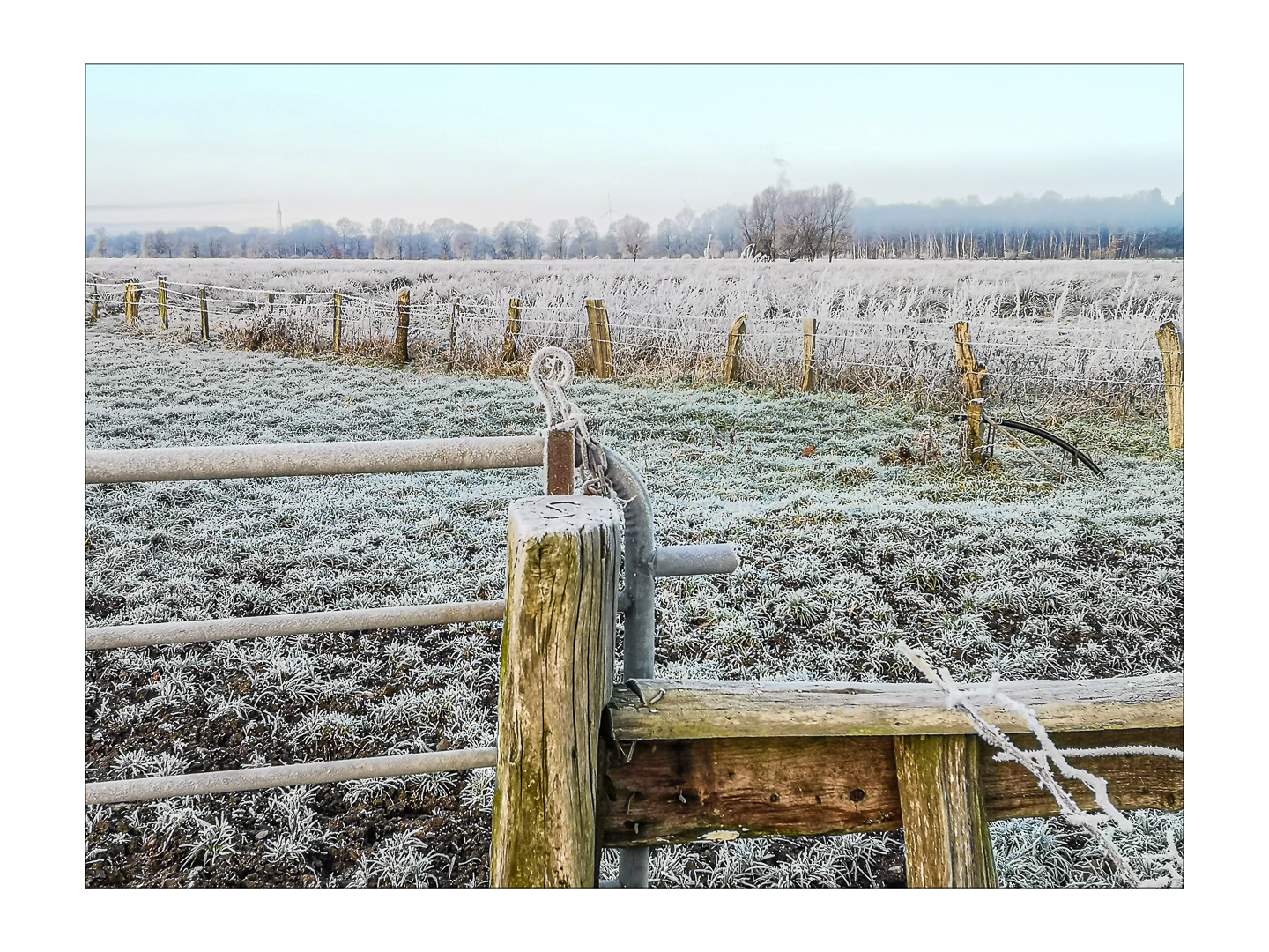 FROZEN FIELDS 