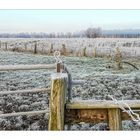 FROZEN FIELDS 