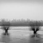 Frozen floodplains