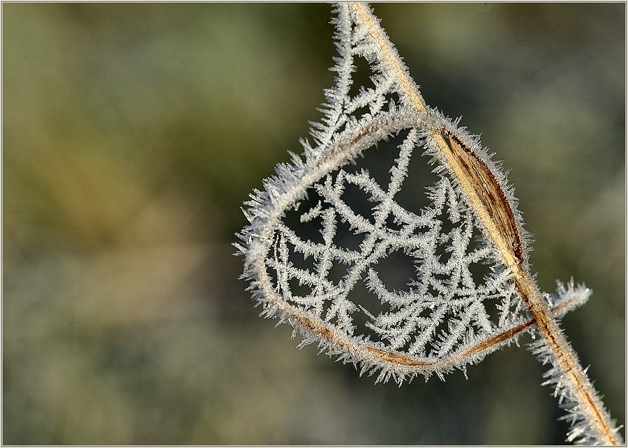 frozen fog ornament