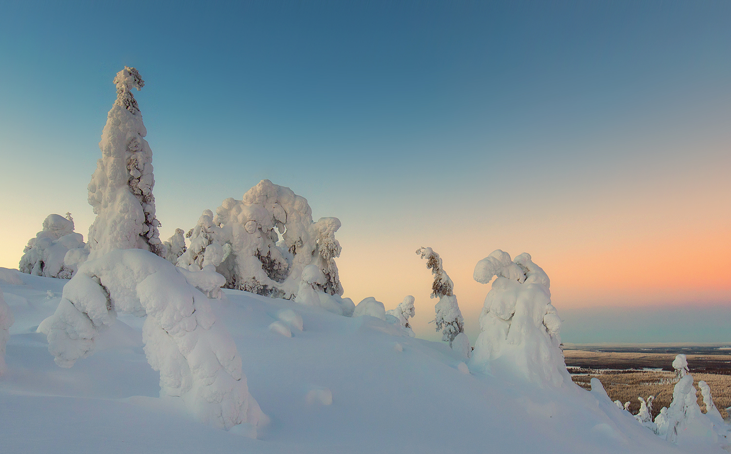 Frozen Ghosts