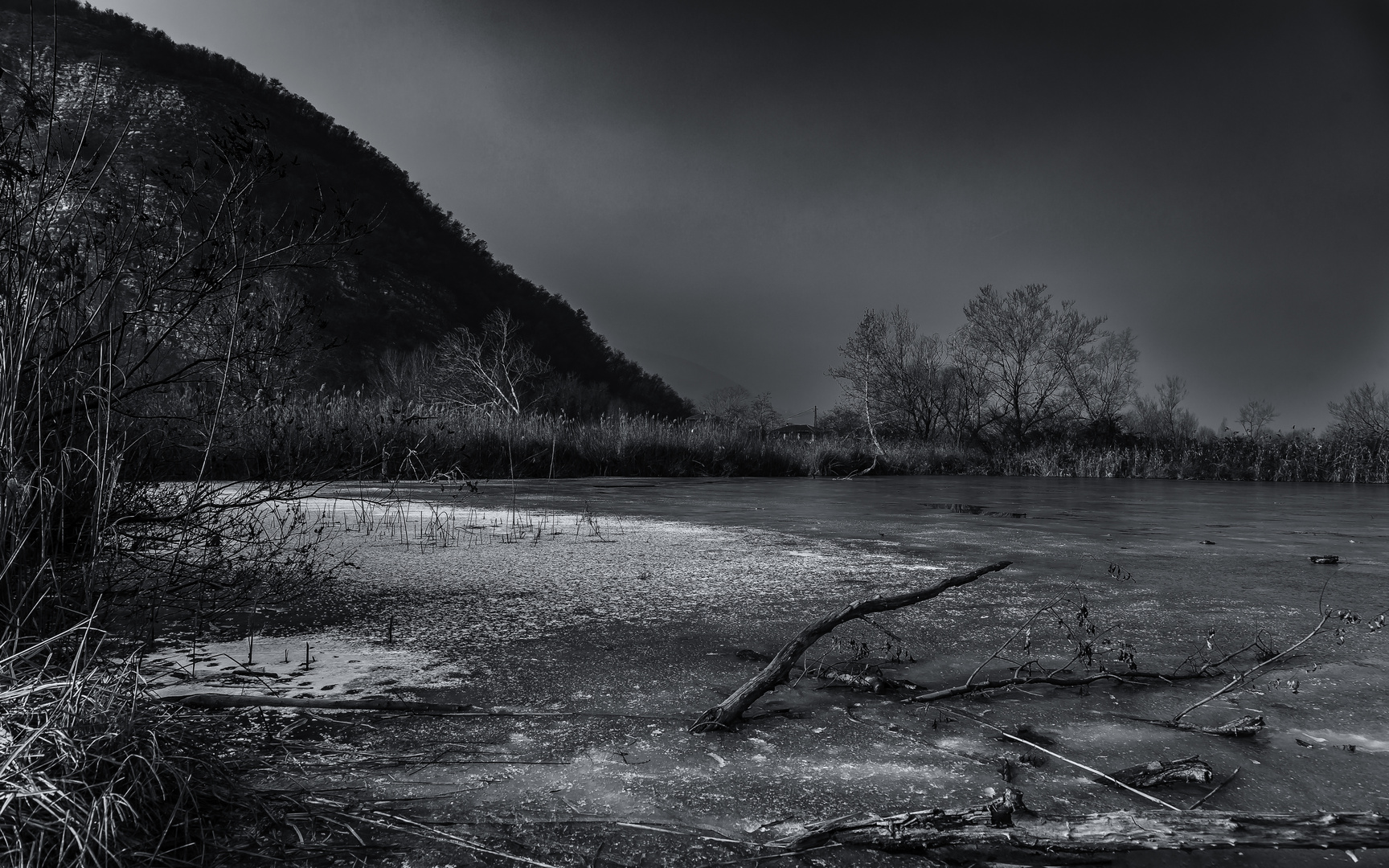 Frozen Ground