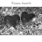 ~~~ frozen hearts ~~~