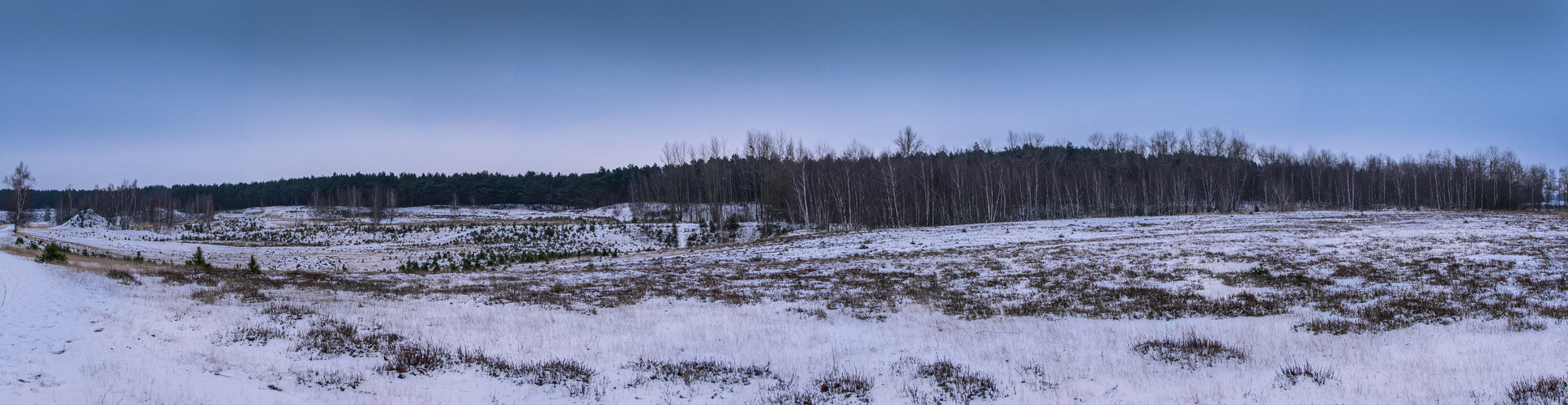 Frozen Heath