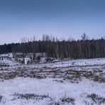 Frozen Heath