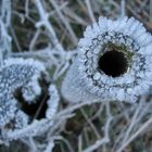 Frozen Hole