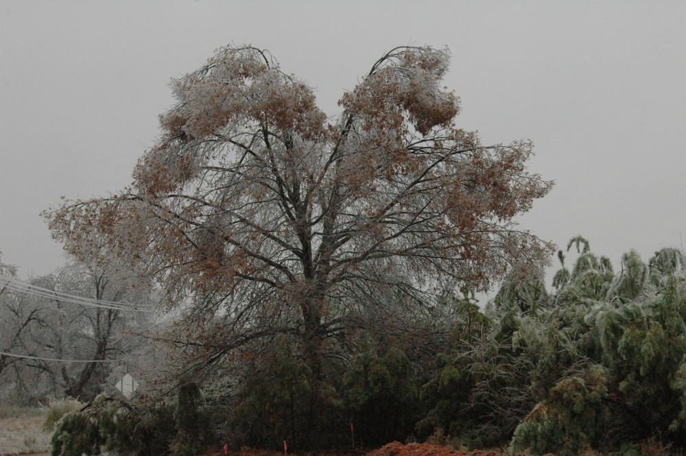 frozen in almost perfect symmetry