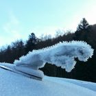 frozen jaguar