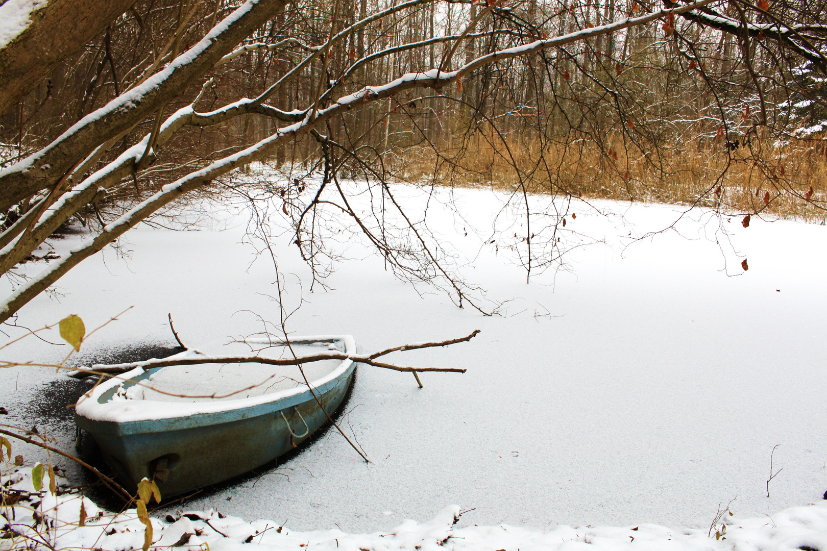 Frozen lake