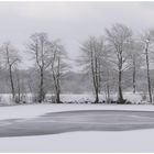 Frozen Lake