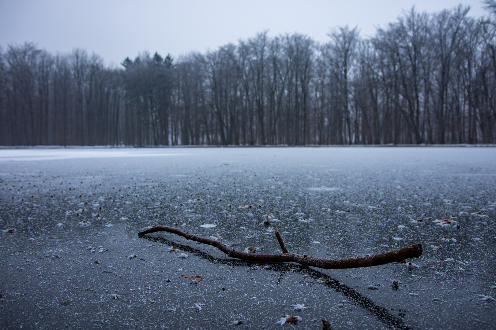 Frozen Lake