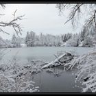 Frozen Lake