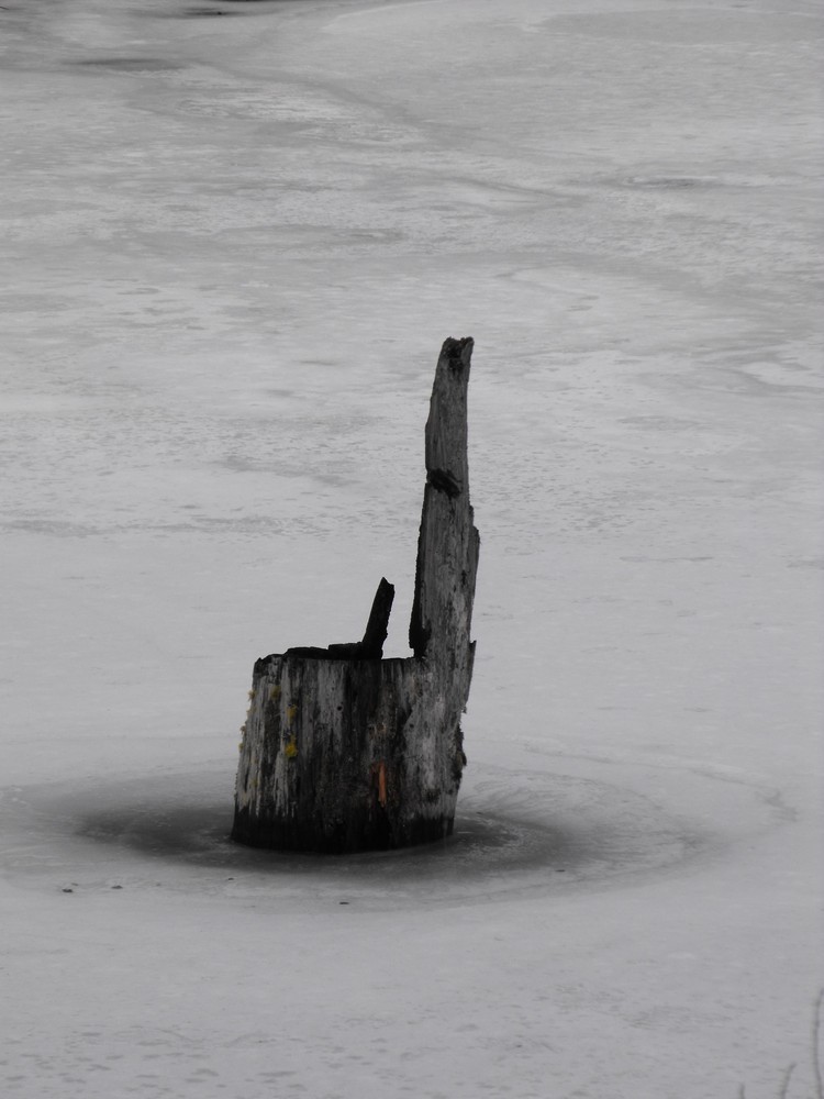 Frozen Lake