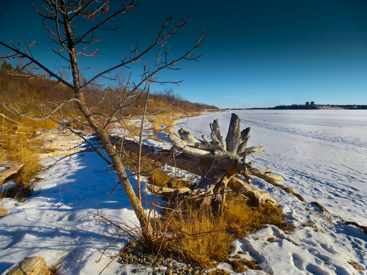 Frozen Lake